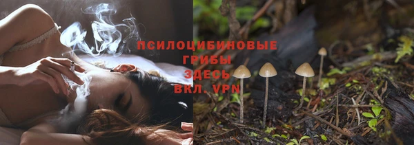 молекула духа Баксан