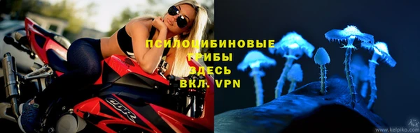 молекула духа Баксан