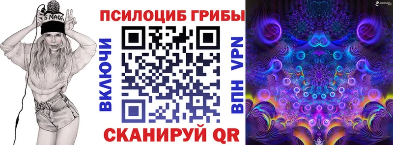 закладки  darknet клад  гидра ссылки  Псилоцибиновые грибы Magic Shrooms  Кондрово 